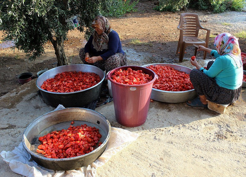 Her yıl aynı dönemde bir araya gelip bu işi yapıyorlar - Resim: 1