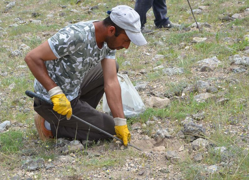 Konya Ereğli'de taş ve otların altına tek tek bakıyorlar kilosu 80 liradan satılıyor - Resim: 4