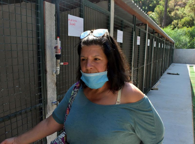 Marmaris'te halk tedirgin önceden tek tük görülüyordu şimdi sürüler halinde geliyorlar - Resim: 3