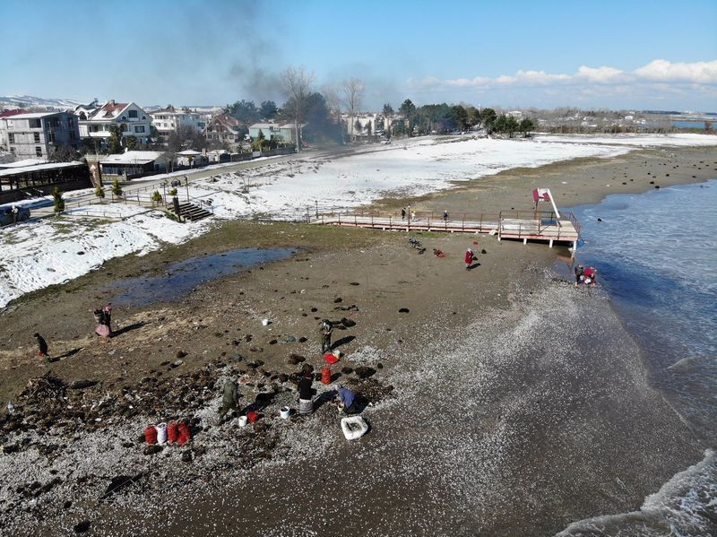 5 yıl sonra bir ilk! Samsun'da herkes iğreniyordu toplayıp paraya para demiyorlar - Resim: 1