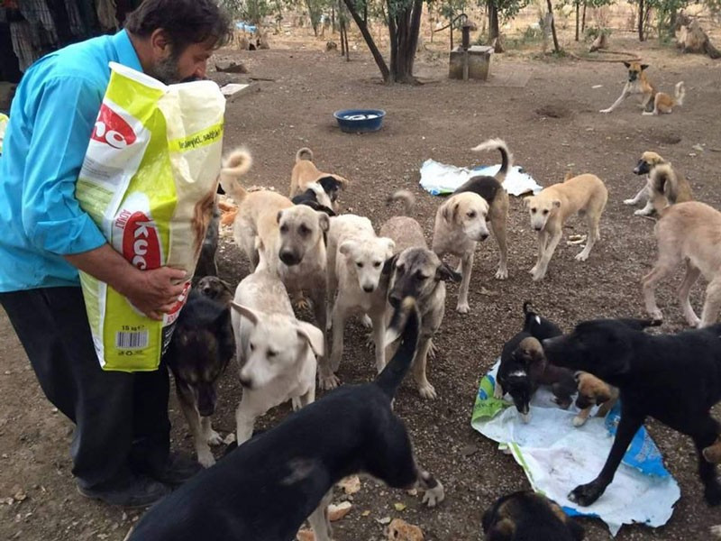 25 yıldır sokak hayvanlarını besliyor hem de borçlanarak - Resim: 3