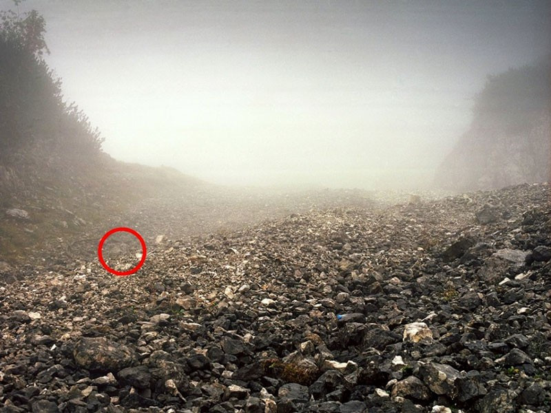 Bu fotoğrafa dikkatli bakın! Farketmezseniz çok geç olacak - Resim: 3