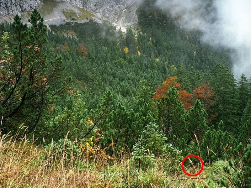 Bu fotoğrafa dikkatli bakın! Farketmezseniz çok geç olacak - Resim: 4