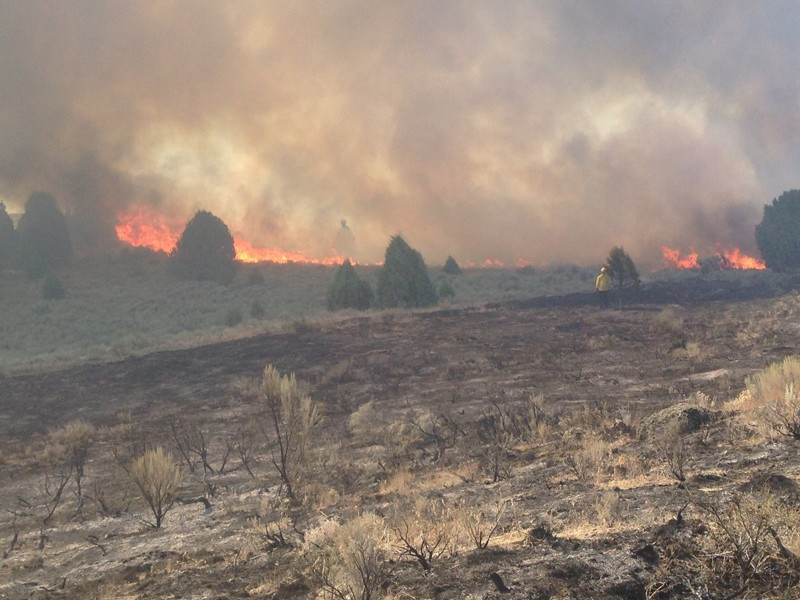 Yangından kaçıyorlardı alevlerin içinde bir anda siluet belirdi - Resim: 4