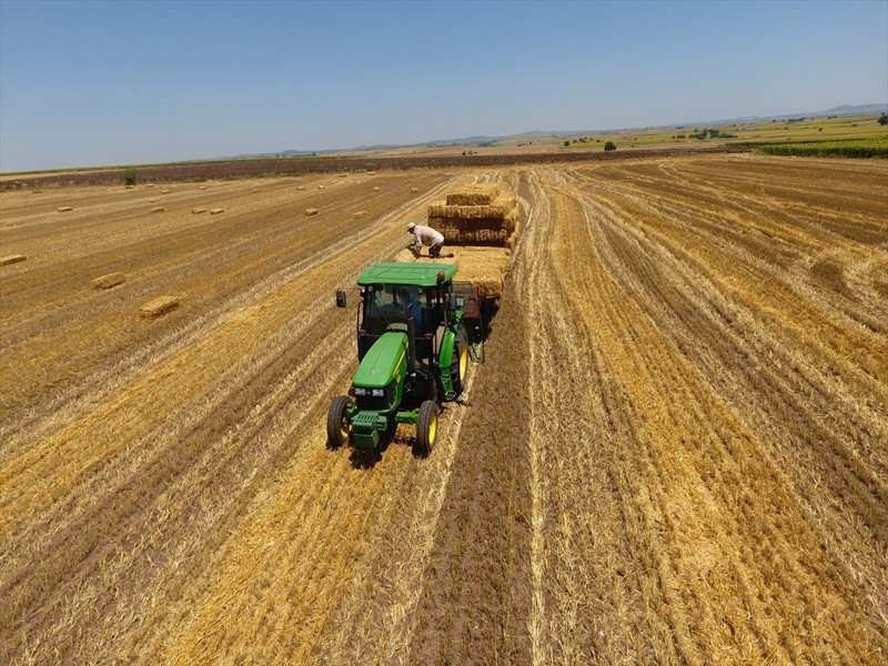 Kavurucu sıcaklara rağmen... İşçilerin zorlu mücadelesi - Resim: 3