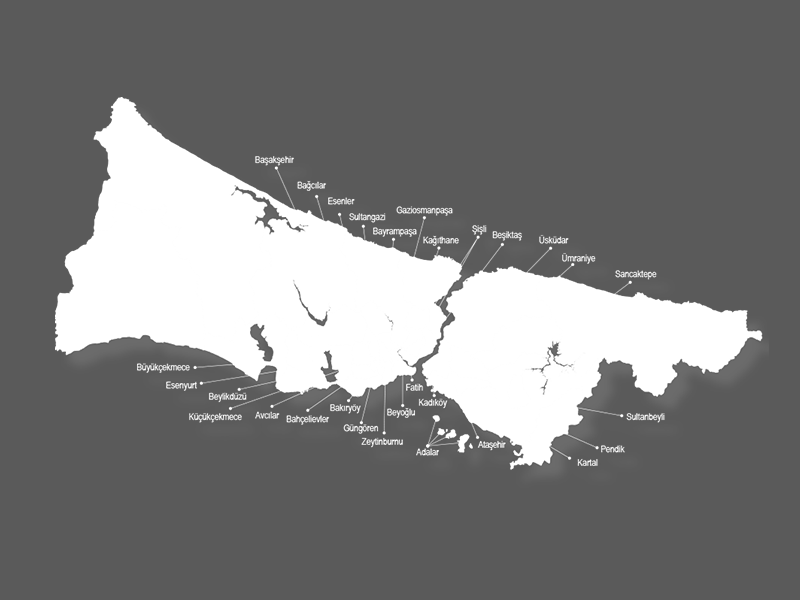 İstanbul'da sonuçlar nasıl? Hangi parti hangi ilçeden kaç oy aldı! - Resim: 2