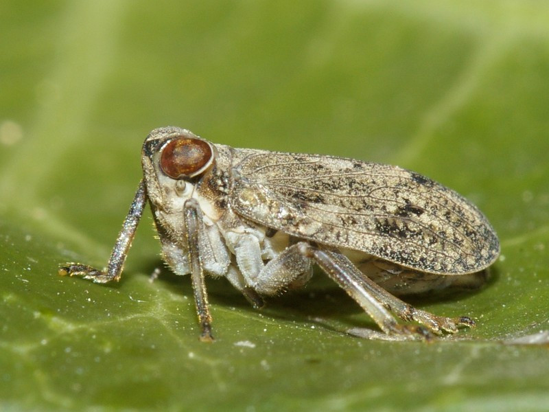 Ne olduğunu tahmin bile edemezsiniz! - Resim: 3