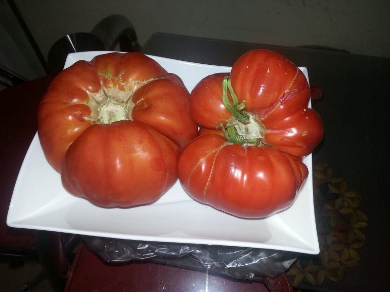 150 yıl sonra yeniden hayat buldu  - Resim: 4