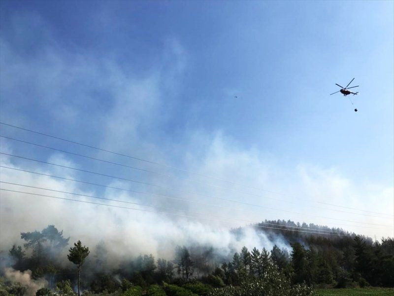 Dalaman'da son yılların en büyük yangını! Yürek sızlatan tablo gün ağarınca ortaya çıktı - Resim: 2