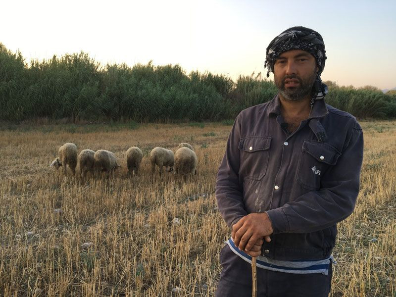 31 Mart seçimlerinde adaydı siyaseti bıraktı şimdi çobanlık yapıyor - Resim: 2