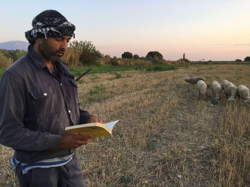 31 Mart seçimlerinde adaydı siyaseti bıraktı şimdi çobanlık yapıyor - Resim: 3