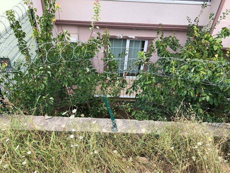 Osmangazi'de sabah bahçeye çıktı şaha kalkmış otomobili görünce şok geçirdi - Resim: 1