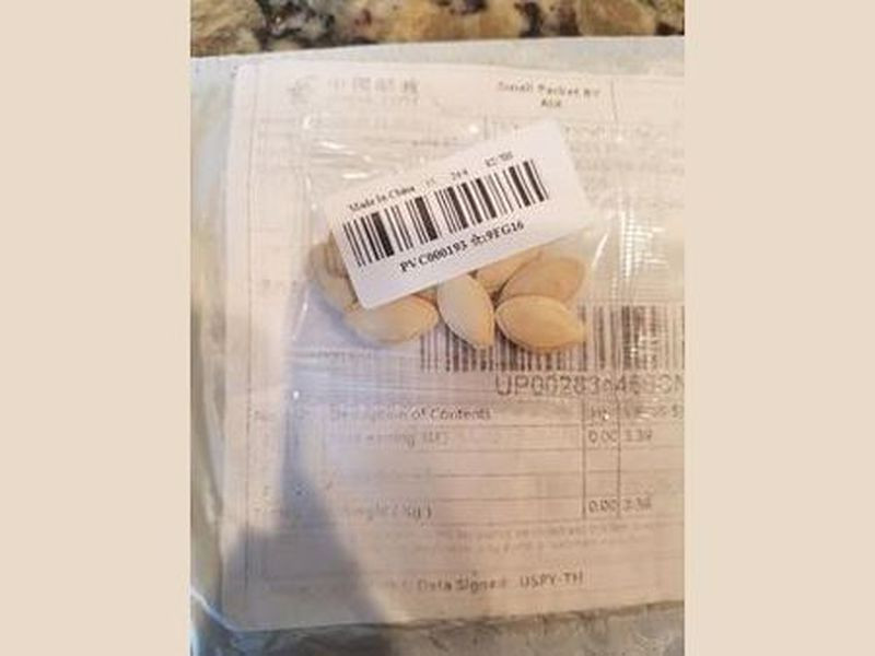 ABD'de evlere kapalı zarf içinde geliyor! Paniğe neden oldu - Resim: 3