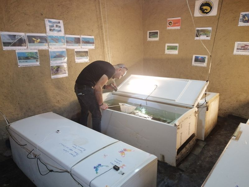 Bilecik'te herkesi şaşırtan hobi! Eski buzdolaplarını atmak yerine bakın ne yapıyor - Resim: 4