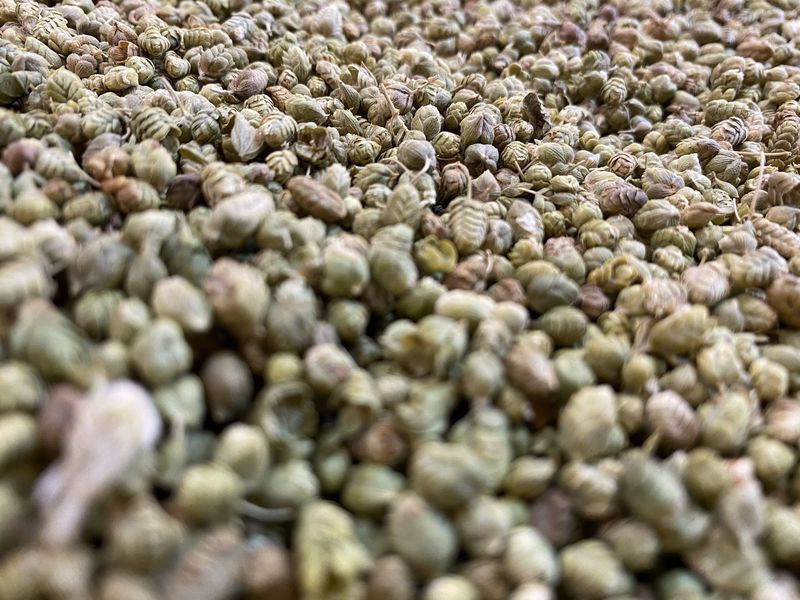 Suyu ve tanesi mikrop düşmanı! Korona pik yaptı talep patladı yok satıyor - Resim: 4