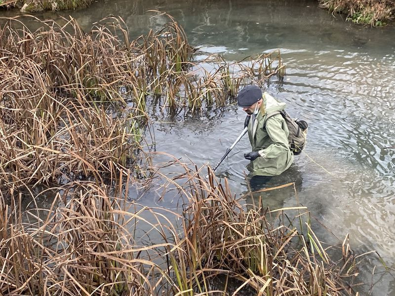 Dünyanın en tehlikeli türü Eskişehir'de ortaya çıktı! Sudan çıkınca ölmüyor - Resim: 3