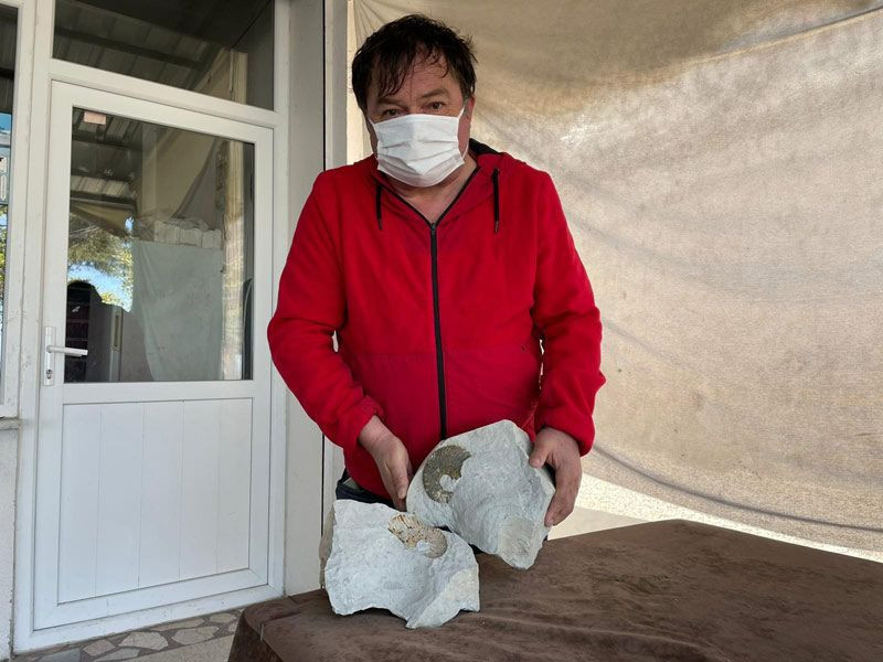 Ordu'da emekli coğrafya öğretmeni kayalıklarda keşfetti en az 15 tür var - Resim: 4