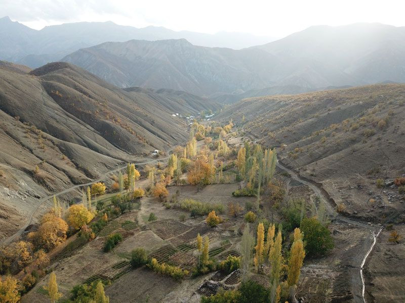 Şırnak'ta yaşayan 100 yaşındaki Ayşe Alp her şeyi anlattı: PKK 3 kez köyünü bastı - Resim: 1