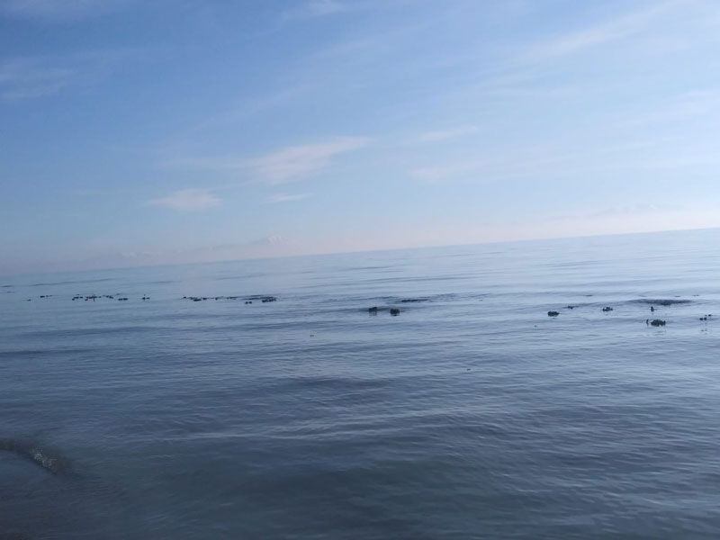 Van Gölü çekildi ortaya çıkanlar şaşkına çevirdi - Resim: 2