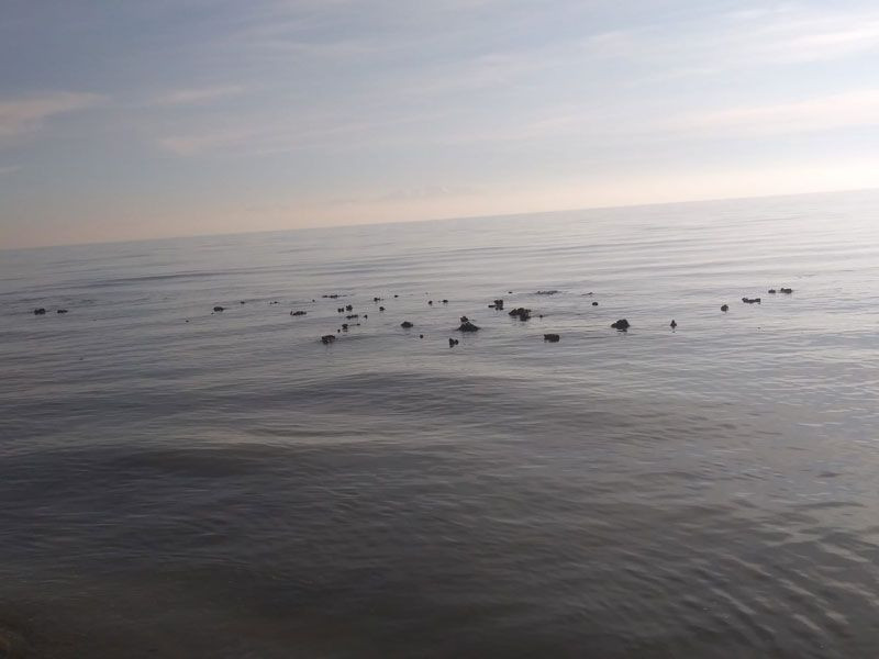 Van Gölü çekildi ortaya çıkanlar şaşkına çevirdi - Resim: 4
