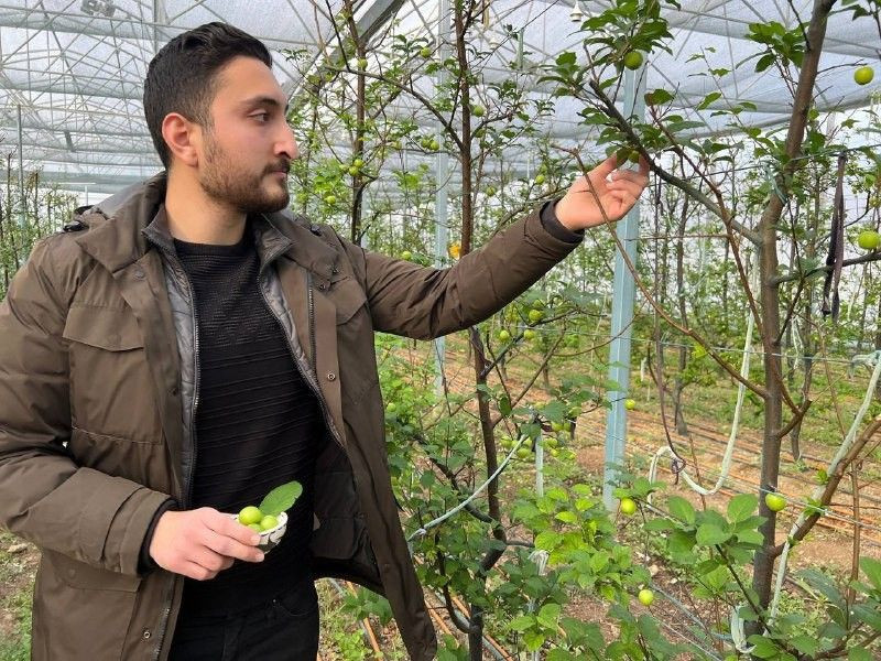 Kilosu 2 bin TL! Arap şeyhlerinden sipariş yağıyor: Bursa'da 12 ay boyunca bebek gibi bakıyoruz - Resim: 2