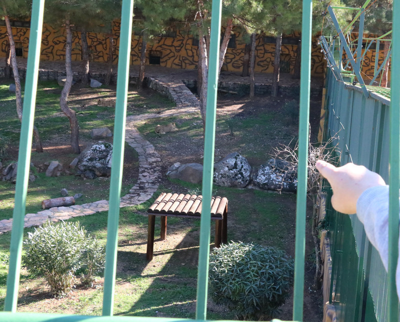 Erdoğan'a hediye edilmişlerdi bakın şimdi ne haldeler - Resim: 3