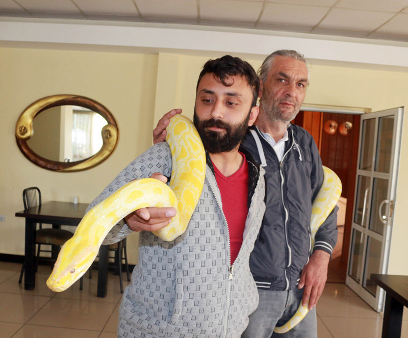 4 metrelik piton yılanını çocuğu gibi seviyor - Resim: 3