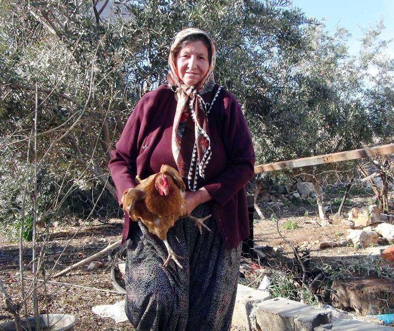 Öyle bir şey yumurtladı ki! Fiyatı bin TL - Resim: 4