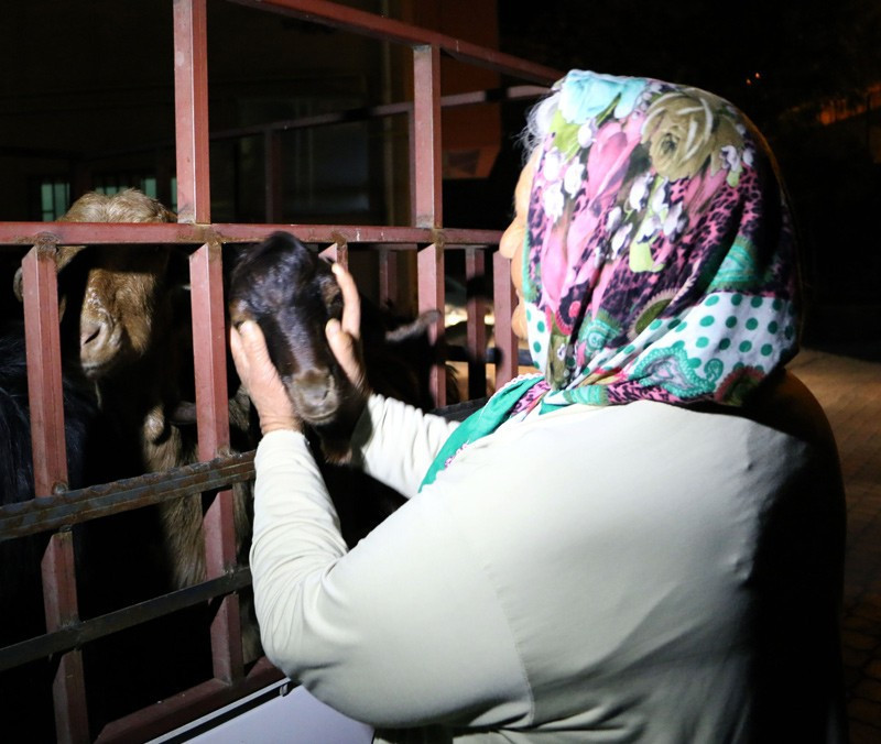 Keçileri çalınınca üzüntüden bulununca sevinçten ağladı - Resim: 1