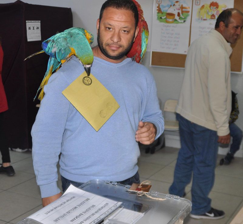 Türkiye sandık başında! İşte yurttan seçmen manzaraları - Resim: 2