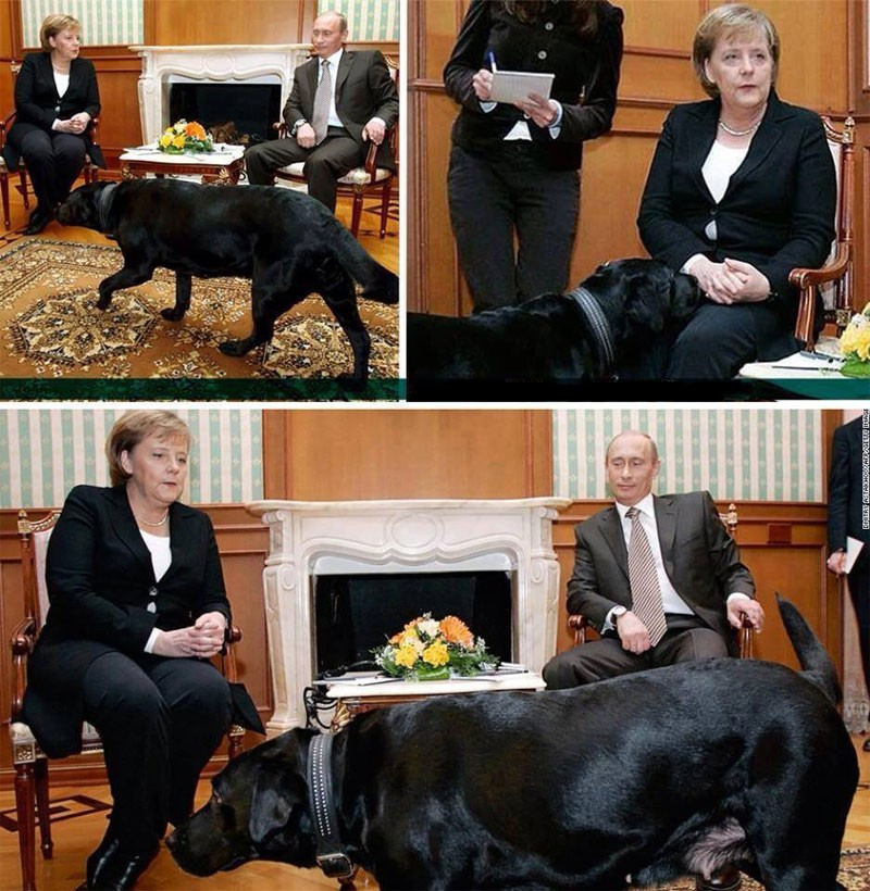Putin Merkel'in fobisinden yararlandı köpekle korkuttu! - Resim: 2