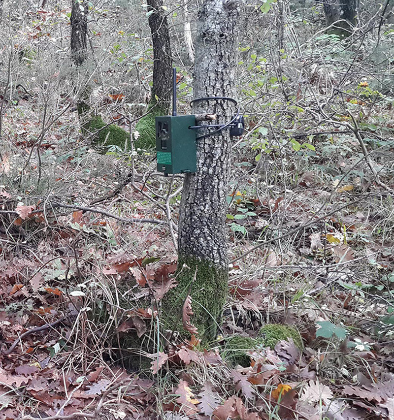 Karadeniz'de PKK'lı teröristlerin belalısı oldu - Resim: 4