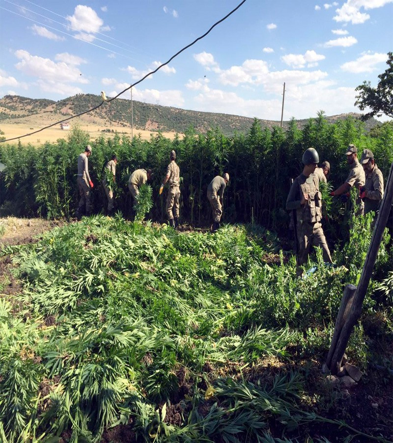 Diyarbakır'da büyük operasyon PKK'nın mağarası bulundu - Resim: 2