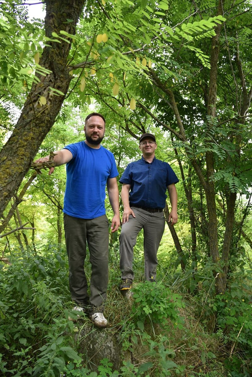 Mohaç Meydan Savaşı'nın yapıldığı alan tespit edildi - Resim: 4