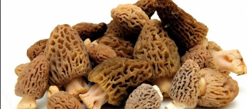 Fiyatı çeyrek altın kadar ama satmıyorlar - Resim: 3