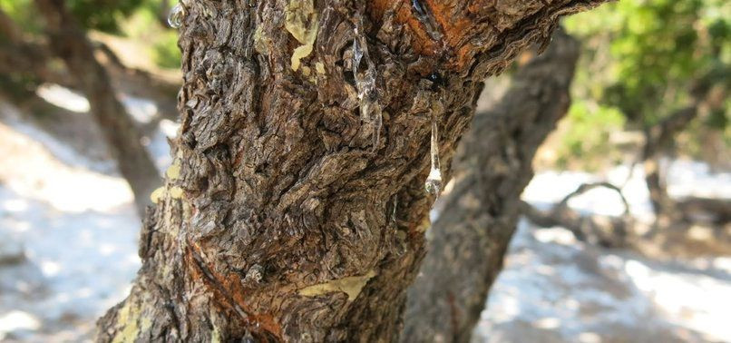 Gramla satılıyor astıma bronşite iyi geliyor aktarda - Resim: 3