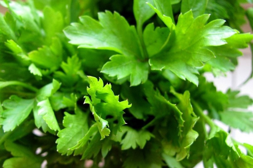 Maydanoz zayıflamaya yardımcı oluyor - Resim: 4