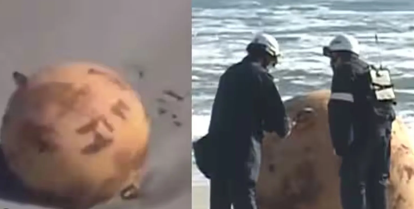 Güne bu haberle uyandılar sahilde 'Gizemli top' bulundu! Japon yetkilileri alarma geçiren görüntü - Resim: 4