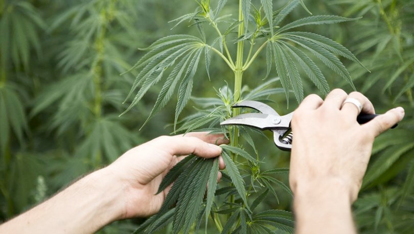 Sultanahmet'i başlarına yıkalım Altıncı Filo İstanbul'u bombalasın!  - Resim: 2