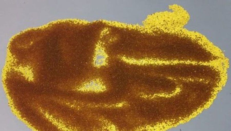 Bolu'da operasyon! Radyoaktif madde Kaliforniyum ele geçirildi - Resim: 3