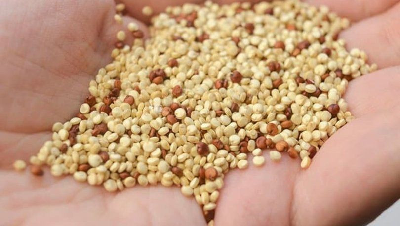 Mutlu eden yiyecekler neler? Bu besinler hem sağlık hem mutluluk veriyor! - Resim: 2