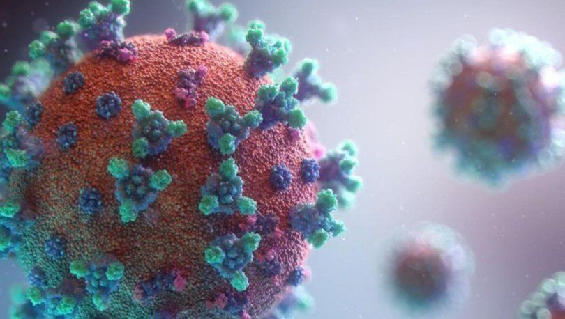 Türkiye Omicron yasaklarını devreye alıyor! Ocak ayında vakalar patlayabilir alarm verildi - Resim: 3