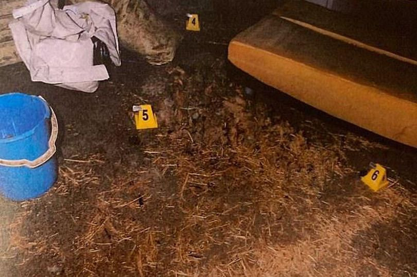 Dehşete düşüren tecavüz! Genç kızı domuz kulübesinde çırılçıplak soyup... - Resim: 4