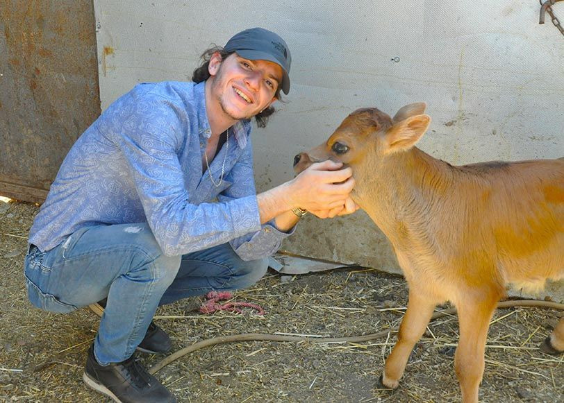 5 bacaklı buzağı görenleri hayrete düşürdü - Resim: 1