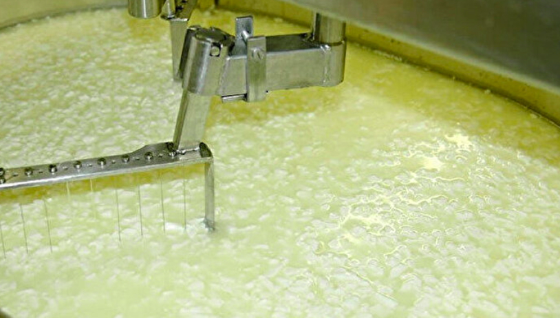 Peynir sahtecilikleri mideleri bulandırıyor! Almadan önce etiketteki detaya dikkat - Resim: 4