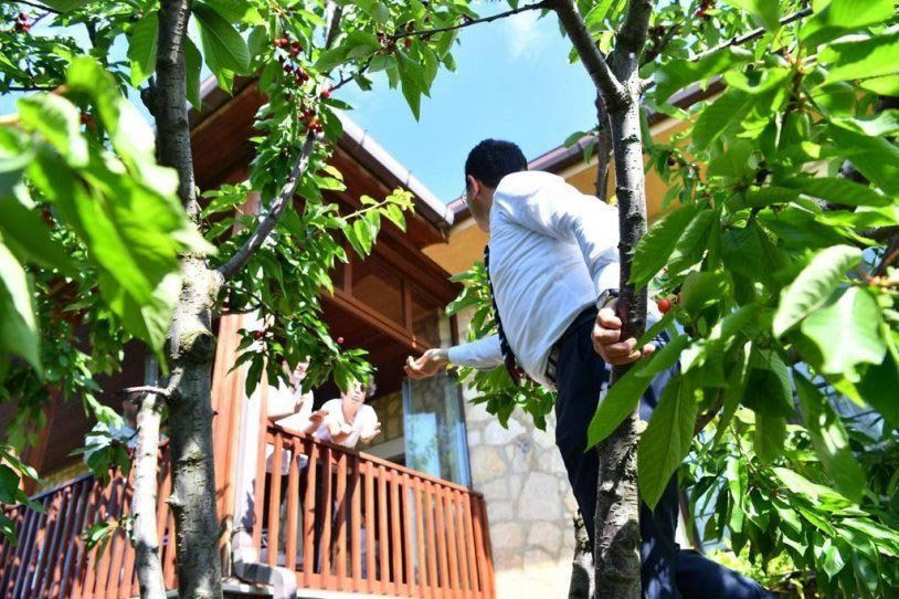 Binali Yıldırım kiraz ağacına çıkan İmamoğlu’nu fena tiye aldı! - Resim: 2