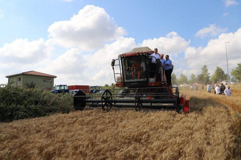 Ekrem İmamoğlu, biçerdövere binip buğday biçti - Resim: 3