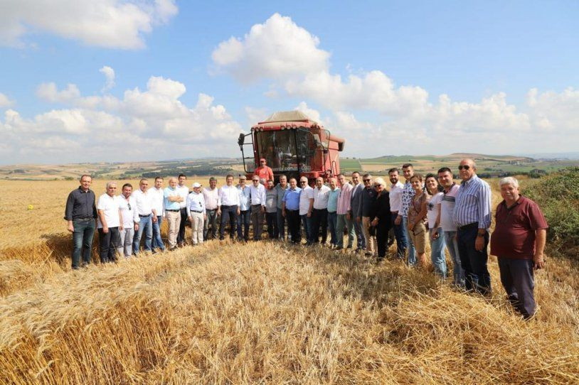Ekrem İmamoğlu, biçerdövere binip buğday biçti - Resim: 2