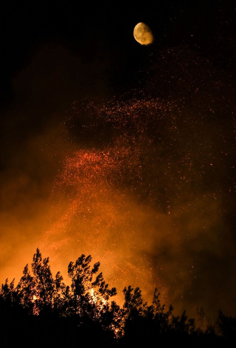 Osmaniye'deki yangında flaş gelişme! 5 kişi gözaltına alındı - Resim: 2