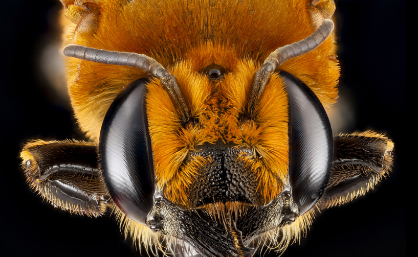 Bunların ne olduğuna inanamayacaksınız - Resim: 4